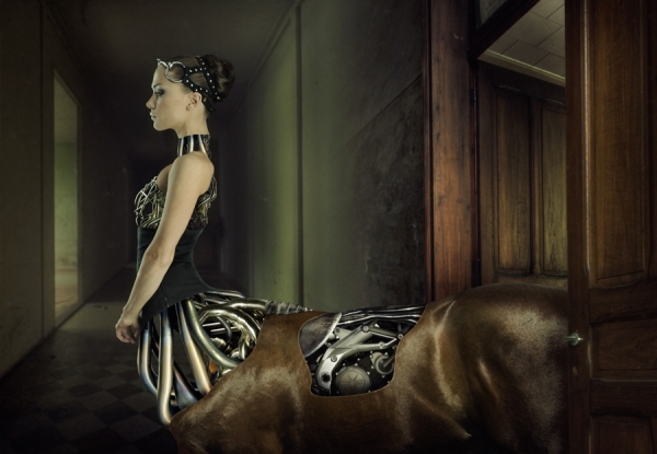 Photograph Elena Vizerskaya Mechanical Horse on One Eyeland