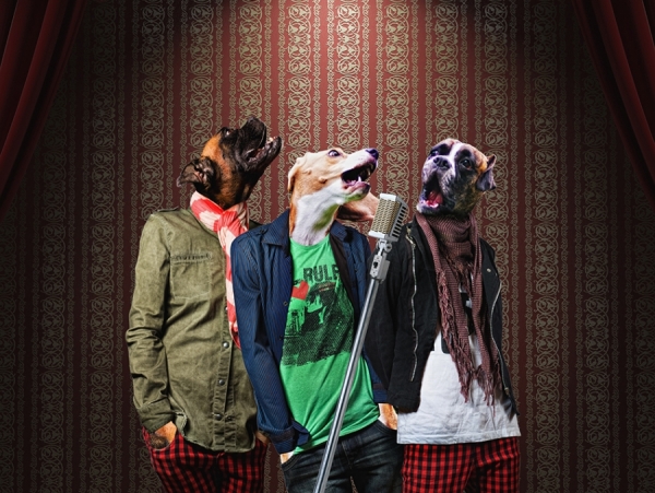 Photograph Anna Bodnar Music Dogs on One Eyeland