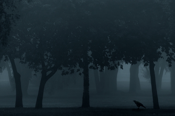 Photograph Mikko Lagerstedt Nevermore on One Eyeland