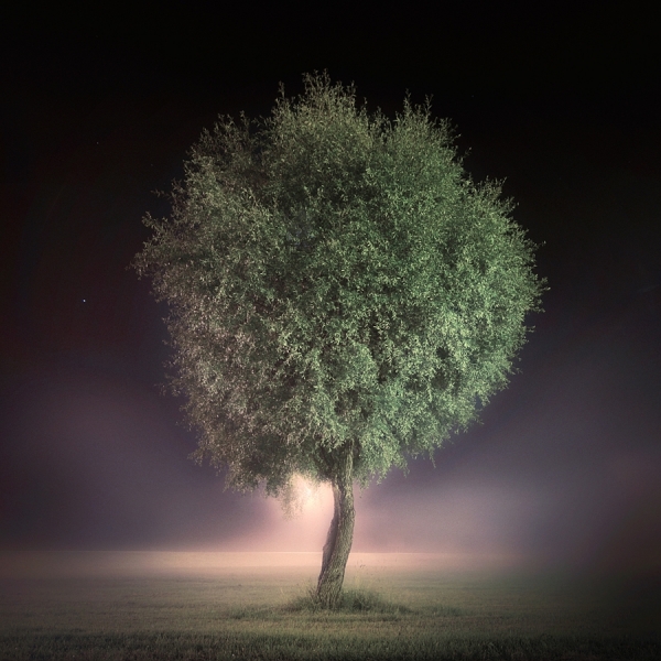 Photograph Mikko Lagerstedt Night Watch on One Eyeland
