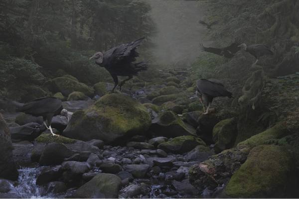 Photograph Ryan Obermeyer Original Sin   The First Thanksgiving on One Eyeland