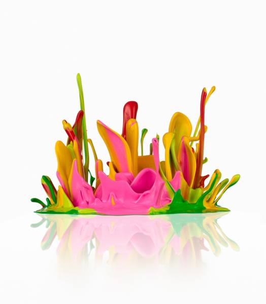 Photograph Don Farrall Paint Flower on One Eyeland