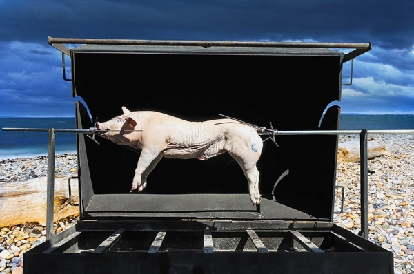 Photograph Mitchell Funk Pig Roast on One Eyeland