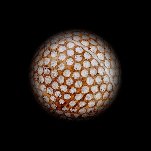 Photograph Jose Laino Planet Golf on One Eyeland