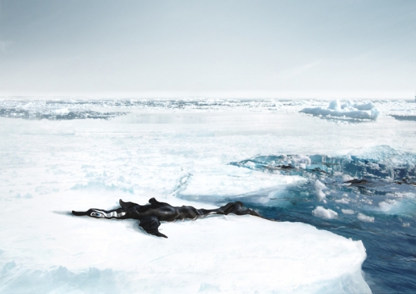 Photograph Dumenil Nicolas Plastic Kill In Artic Too on One Eyeland