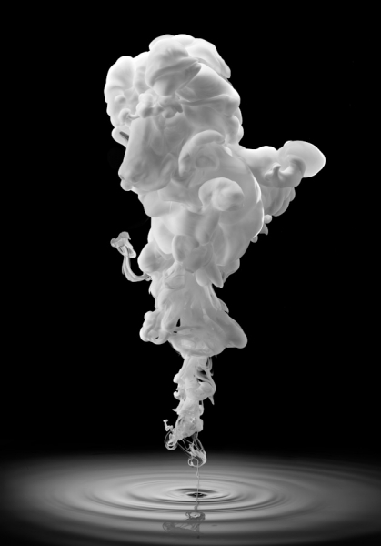 Photograph Ray Massey Poodle on One Eyeland