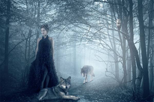 Photograph Jackson Carvalho Queen Of Wolves on One Eyeland