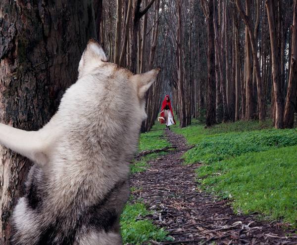 Photograph John Lund Red Riding Hood on One Eyeland
