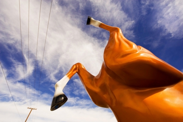 Photograph David Mendelsohn Resin Horse on One Eyeland