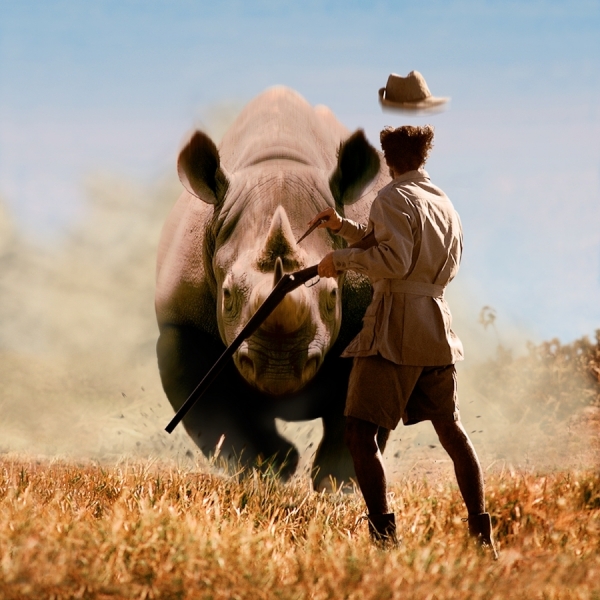 Photograph Charles Harris Rhino on One Eyeland