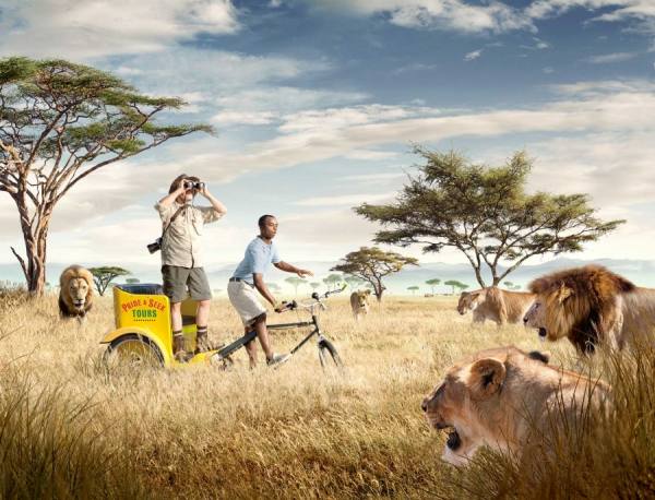 Photograph John Fulton Safari on One Eyeland