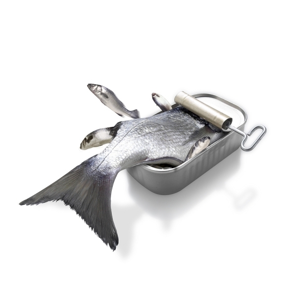 Photograph Colin Thomas Sardine Tin on One Eyeland