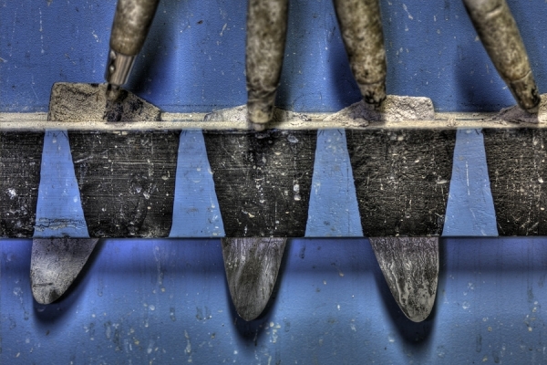 Photograph Mauro Risch Spatula on One Eyeland