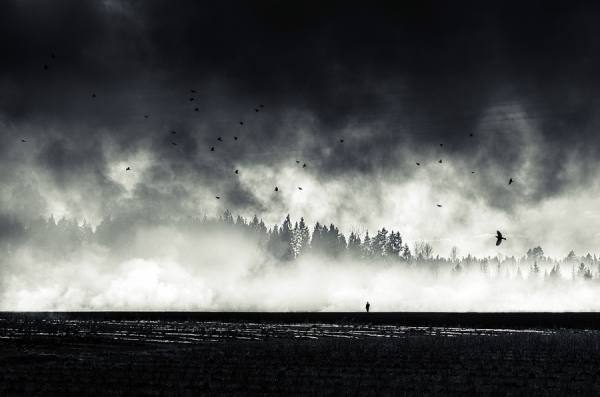 Photograph Mikko Lagerstedt Still Standing on One Eyeland