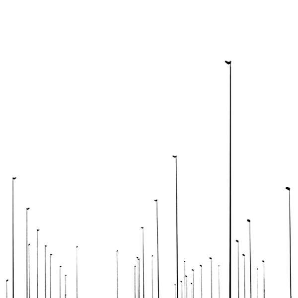 Photograph Jose Conceptes Streetlights on One Eyeland