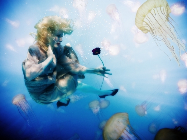Photograph Dorn Brothers Swim With The Fishys on One Eyeland
