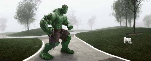 Photograph Ian Pool The Incredible Hulk on One Eyeland