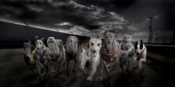 Photograph Lisa Saad The Mob on One Eyeland