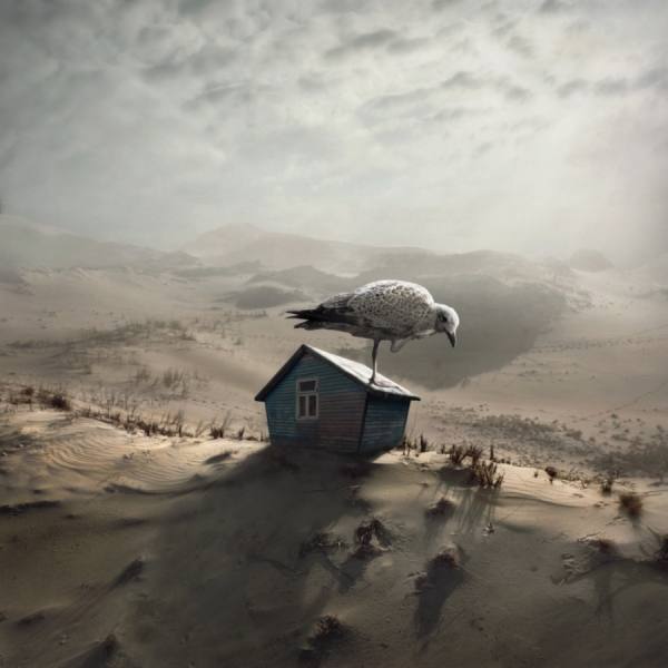 Photograph Dariusz Klimczak The Nest on One Eyeland