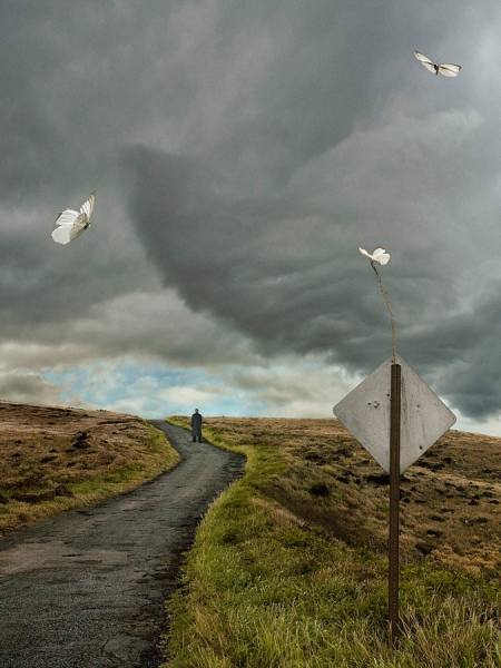 Photograph Glen Wexler The Road on One Eyeland