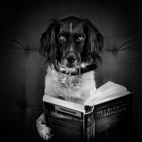 Photograph Jeannette Oerlemans The Storyteller on One Eyeland