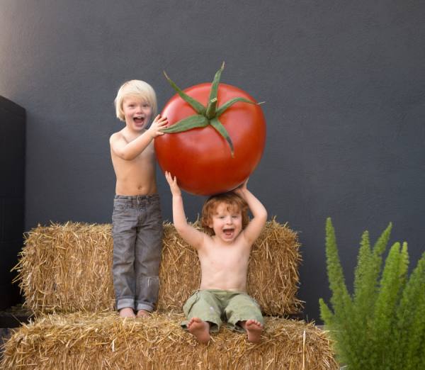 Photograph Jens Lucking Tomato Boys on One Eyeland
