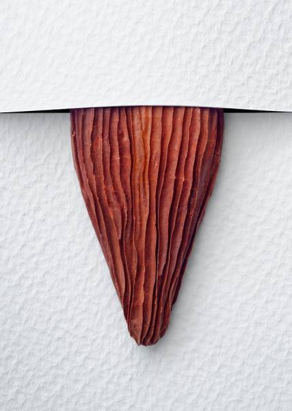 Photograph Jose Laino Tongue on One Eyeland