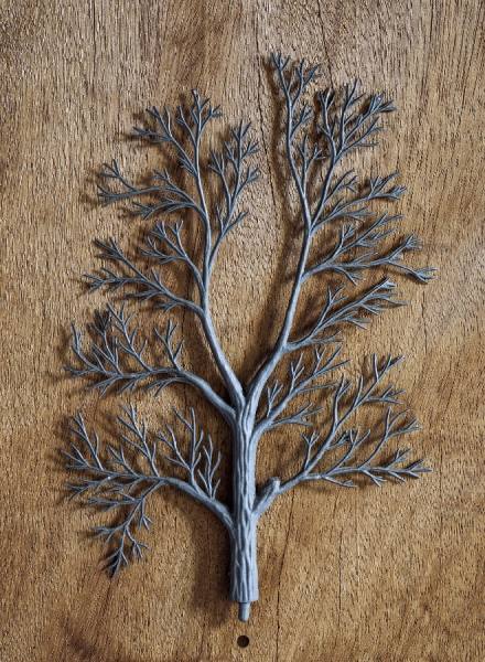 Photograph Jose Laino Tree on One Eyeland