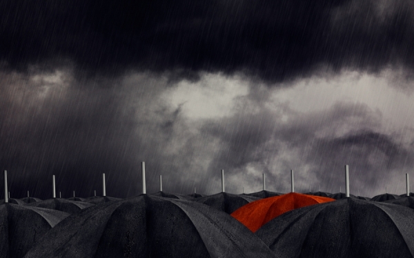 Photograph Chris Bailey Umbrellas on One Eyeland