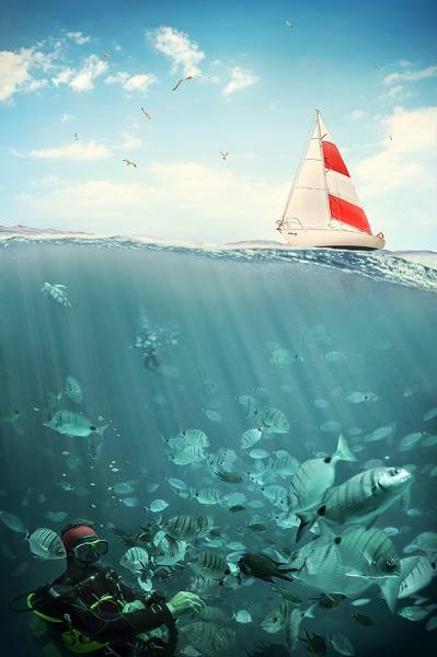 Photograph Emre Gologlu Under The Sea on One Eyeland
