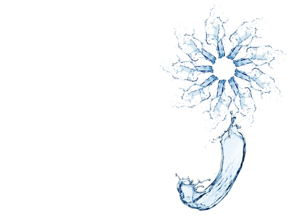 Photograph Aj Silva Water Flower on One Eyeland
