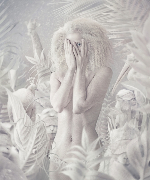 Photograph Elena Vizerskaya White Night In Jungle on One Eyeland
