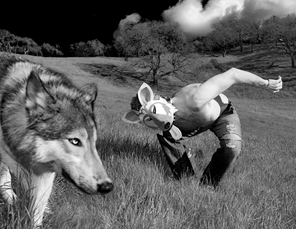 Photograph Lennette Newell Wolf Fantasy on One Eyeland