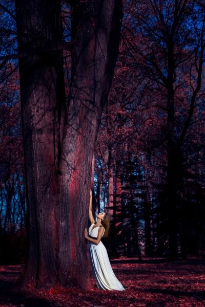 Photograph Martin Krystynek Wood on One Eyeland