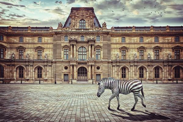 Photograph Lee Howell Zebra Crossing on One Eyeland