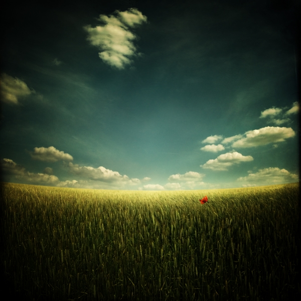 Photograph Jeannette Woitzik Unique on One Eyeland