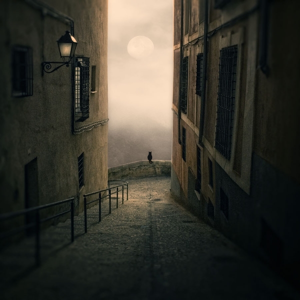 Photograph Luis Beltran Enamorado De La Luna on One Eyeland