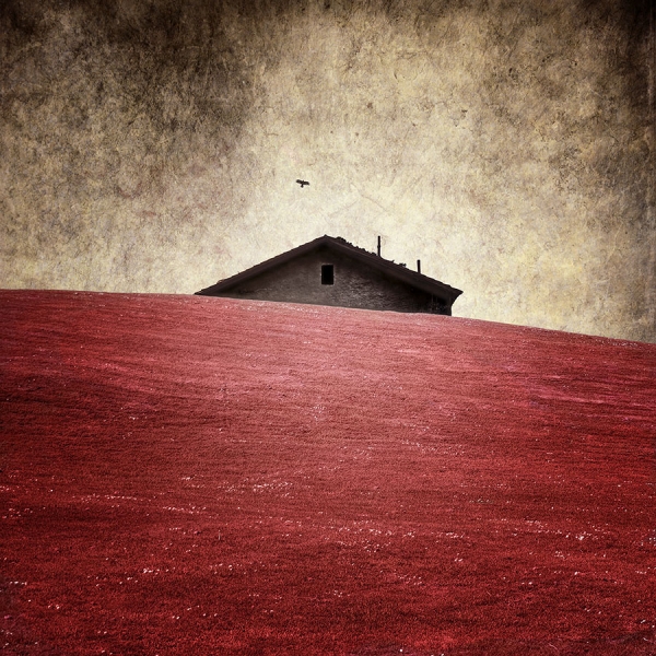 Photograph Luis Beltran La Casa on One Eyeland