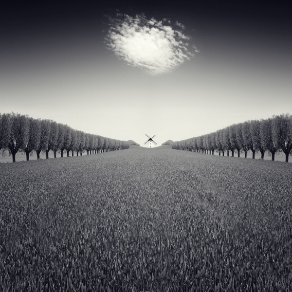 Photograph Luis Beltran Viento on One Eyeland