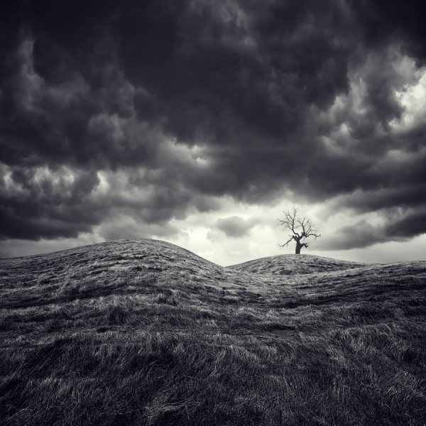 Photograph Luis Beltran Otoño on One Eyeland