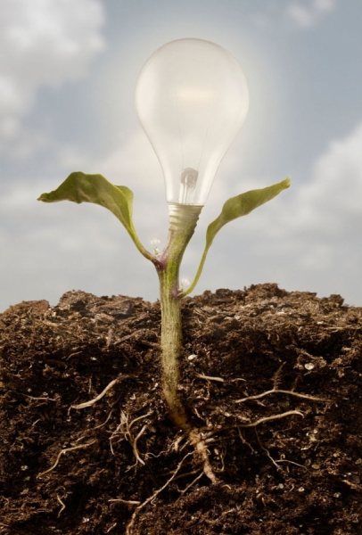 Photograph Adam Voorhes Growing Ideas on One Eyeland
