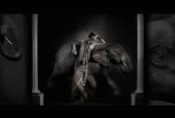 Photograph Juanmi Marquez Le Petit Elephant on One Eyeland