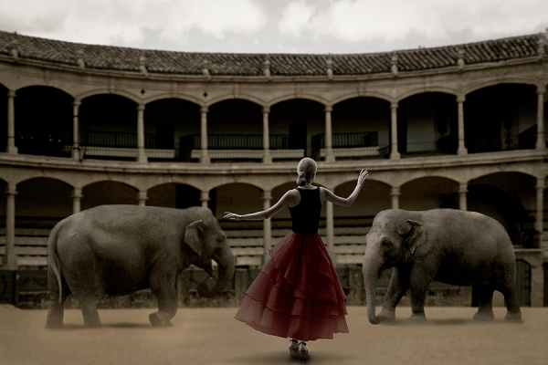Photograph Susi Belianska Alone With Elephant on One Eyeland