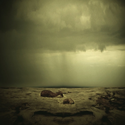 Photograph Leoward Cabangbang Unconditional on One Eyeland
