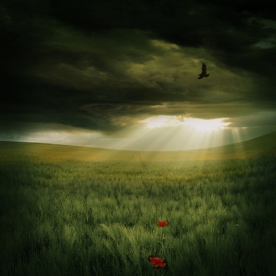 Photograph Leoward Cabangbang Signos on One Eyeland