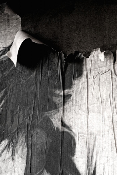 Photograph Marco Moroni Shirt On A Wall on One Eyeland