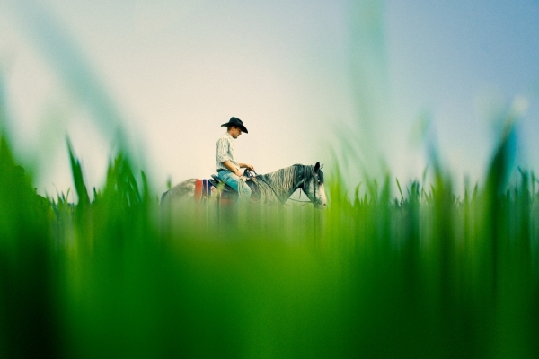 Photograph Christopher Wilson Nokotas on One Eyeland