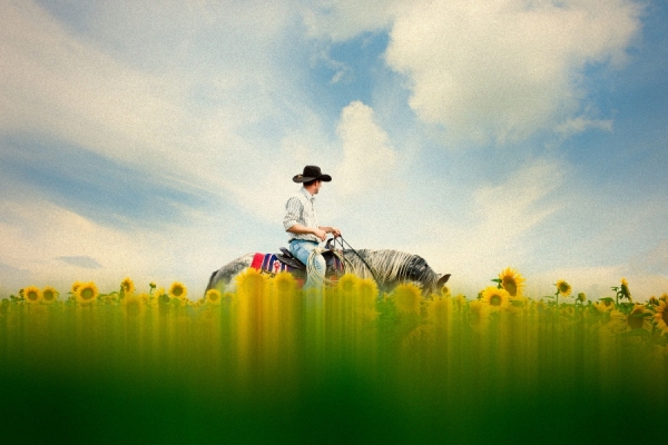 Photograph Christopher Wilson Nokotas on One Eyeland