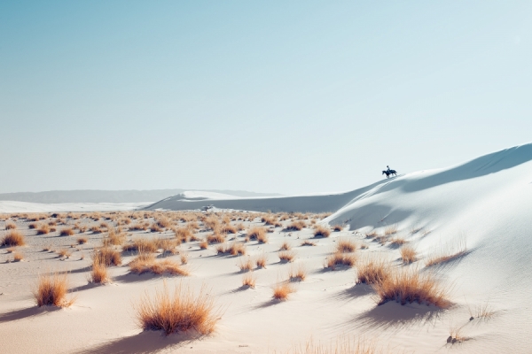 Photograph Christopher Wilson White Sands on One Eyeland