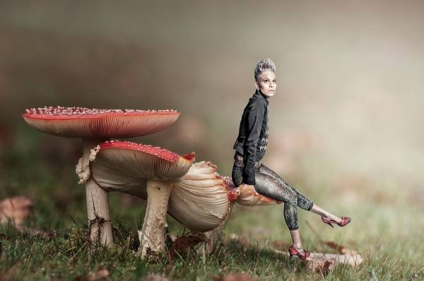 Photograph Jeannette Oerlemans Autumn on One Eyeland